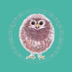 Baby Owl Embroidery on teal