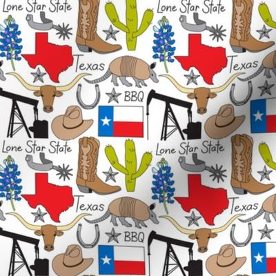 small Texas items