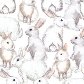 White Rabbits (large scale)