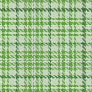 Monochrome Plaid in Green