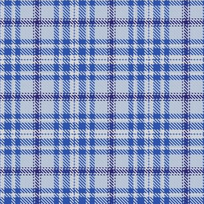 Monochrome Plaid in Blue