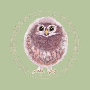 Baby Owl Embroidery on green