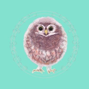 Baby Owl Embroidery on Aqua