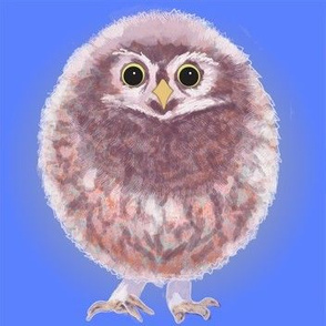 Baby Owl on electric blue