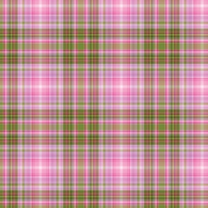 Pink and Green Spring Plaid