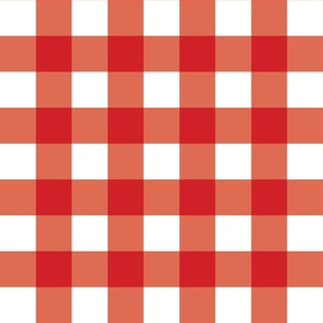 Red Gingham - Large (Fall Rainbow Collection)
