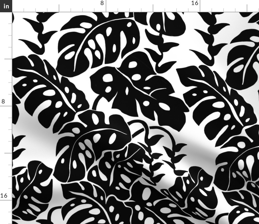 Monstera and Heliconia--black and white