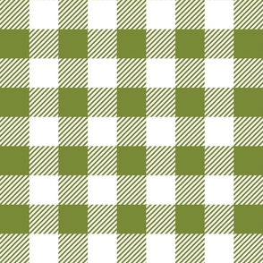 Olive Check - Large (Fall Rainbow Collection)