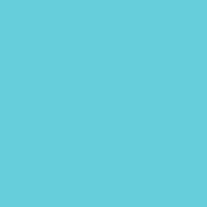 Solid Brilliant Cyan Color - From the Official Spoonflower Colormap