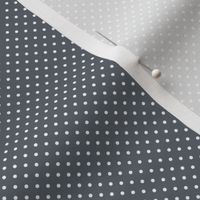 Micro Polka Dot Pattern - Slate Grey and White
