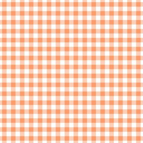 Small Gingham Pattern - Tangerine and White