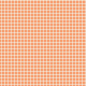 Small Grid Pattern - Tangerine and White