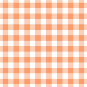 Gingham Pattern - Tangerine and White