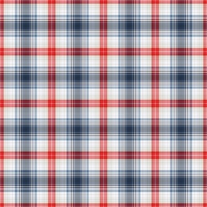 Red, White, and Blue Fine Line Plaid