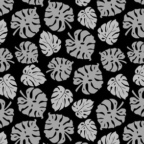 Monstera Leaves in freefall - silver grey on black, medium/large 