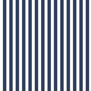 Navy and white stripe