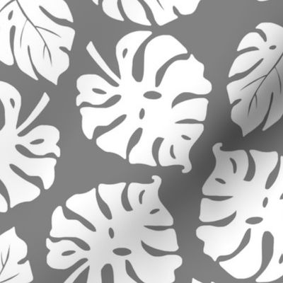 Monstera Leaves in freefall - white on ultimate gray, medium/large 