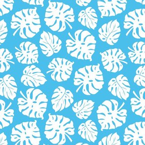 Monstera Leaves in freefall - white on sky blue, medium/large 