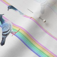 rainbow pigeons