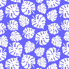 Monstera Leaves in freefall - white on cornflower blue, medium/large 