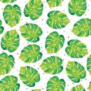 (M Scale) Watercolor Tropical Monstera Leaves on White with Pink Dots