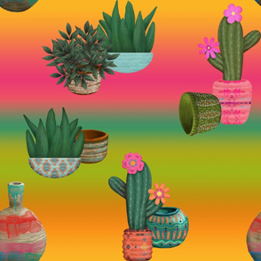Cactus Pots Southwestern Style