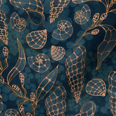 Seashells and seaweed outlines on dark blue teal