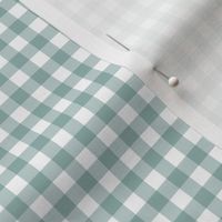 1/4” Gingham Check (surf)