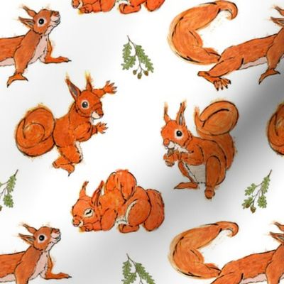 Squirrel Fabric