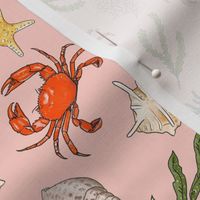 Small - Crabs and Shells on Pink