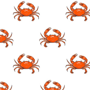 Medium - Red Crab