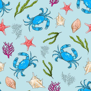 Medium - Blue Crabs and Shells on Blue