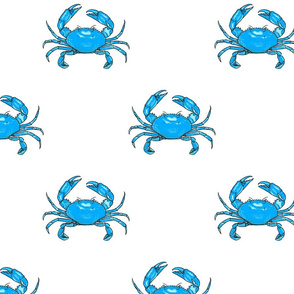 Medium - Blue Crab