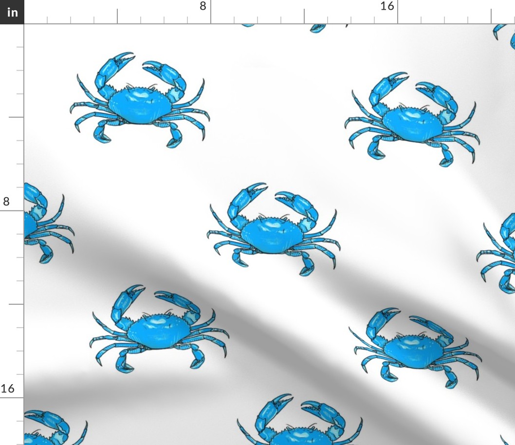 Medium - Blue Crab