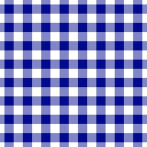 Gingham Pattern - Navy Blue and White