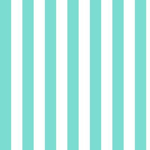 Turquoise Awning Stripe Pattern Vertical in White