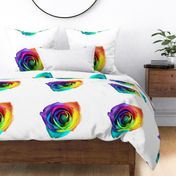 Rainbow Rose