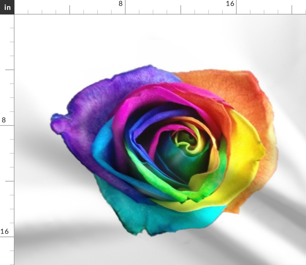 Rainbow Rose