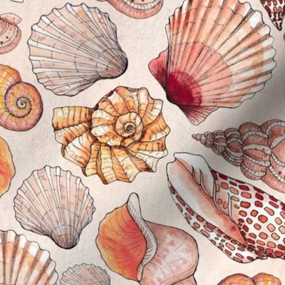 Sea Shells Watercolor