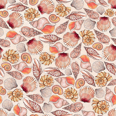 Seashells Design Challenge