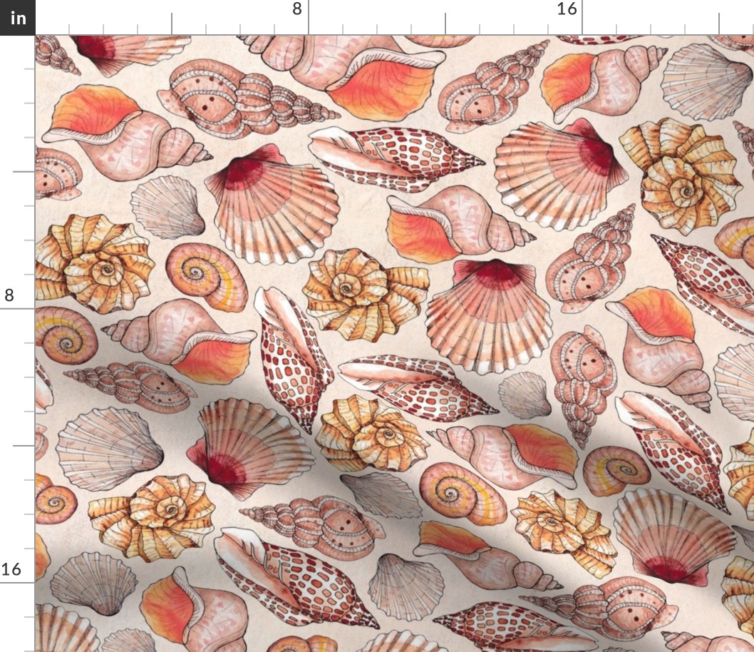 Sea Shells Watercolor