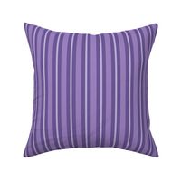 Lavender Purple Stripe Monochromatic Medium