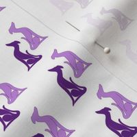 Greyhound Sitting Purple