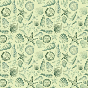 sketched sea shells - green