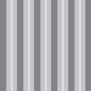 Gray Tonal Stripe Medium