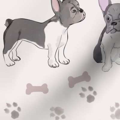 French  Bulldog , Bonny, Hund