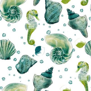 Seashells and Seahorses  by JAF Studio