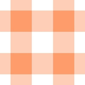 Jumbo Gingham Pattern - Tangerine and White