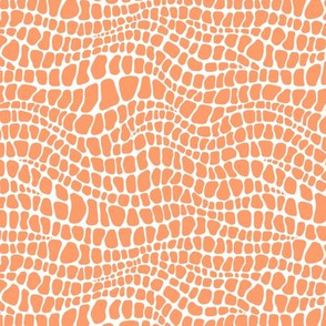 Alligator Pattern - Tangerine and White