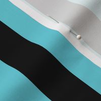 Large Vertical Awning Stripe Pattern - Brilliant Cyan and Black